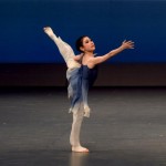 幸せ運ぶ青い鳥 (3)